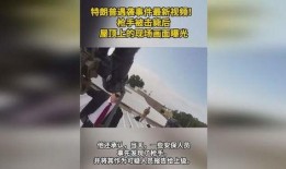 近期军需爆料新闻视频,近期爆料视频深度解析