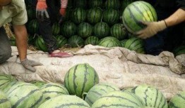 滕州网红吃瓜事件最新,揭秘背后真相与网络舆论风暴