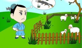 亡羊补牢在线观看,重拾信心，迈向新生的励志故事