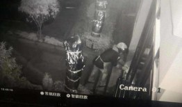 如画爆料的视频,一场视觉盛宴背后的故事