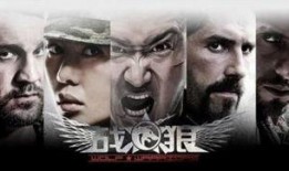 战狼影院在线观看,在线观看，热血沸腾的视觉盛宴