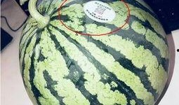 网红瓜妈吃瓜,揭秘网红圈那些不为人知的幕后故事