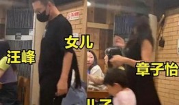 刘大锤最新爆料离婚,娱乐圈明星夫妻离婚内幕