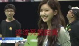 锤子哥前妻爆料的视频在线观看,揭秘婚姻内幕与情感纠葛