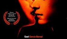 爱奴电影在线观看