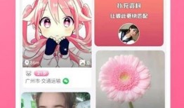 雷府爆料最新视频下载,精彩瞬间一网打尽