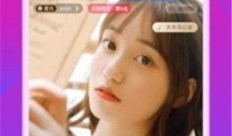 小狐狸娱乐爆料视频,揭秘娱乐圈幕后故事