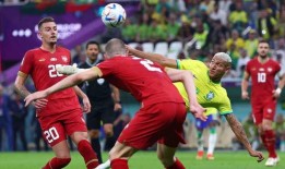 世界杯剧本爆料大全最新,巅峰对决背后的惊人真相