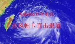 最新爆料台风视频,台风来袭！最新视频揭秘惊心动魄的瞬间