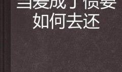 债爱在线观看,一场跨越时空的浪漫救赎之旅