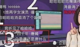 配音爆料小鱼屋视频大全,小鱼屋视频大全背后的精彩故事