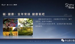 文妹爆料视频大全最新章节,揭秘娱乐圈幕后真相