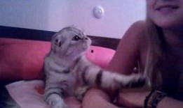 主播萌小猫爆料视频,揭秘幕后精彩瞬间