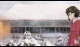 怪鸟园丁爆料视频大全,视频大全背后的神奇世界