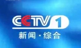 大亚湾电台爆料新闻最新,最新热点事件深度解析