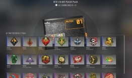 csgo最新探员爆料,揭秘游戏新内容与未来动向