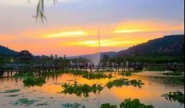 庆阳爆料风景视频播放,揭秘庆阳独特自然风光