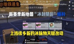 逃生新版本爆料大全视频,揭秘全新玩法与惊险挑战