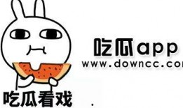 网红吃瓜插PP,揭秘网络热点背后的真相与争议