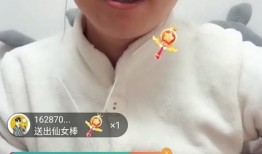 光头食品爆料视频大全,揭秘视频大全背后的真相与内幕