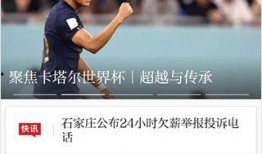 最新模块爆料视频大全集,揭秘科技前沿，畅览创新风采