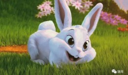 娱乐圈吃瓜第一线十尾兔,十尾兔带你探秘吃瓜第一线