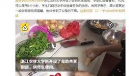 共享厨房爆料网友视频,网友视频曝光惊人内幕