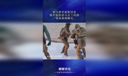 俄罗斯间谍爆料视频播放,视频内容深度解析