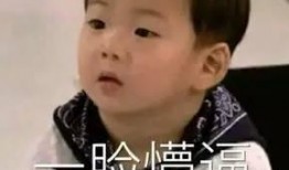 娱乐圈小小爆料,揭秘明星背后的惊人真相