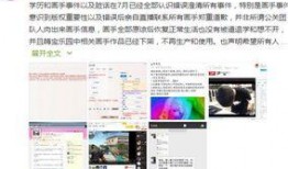 如画爆料的视频,一场视觉盛宴背后的故事