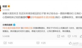 肖战杨紫爆料贴吧最新消息,爆料贴吧揭秘幕后真相
