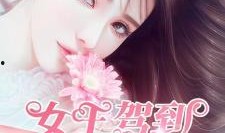 女王驾到在线观看,宫廷秘闻大揭秘，在线观看带你穿越历史风云