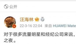 爆料娱乐圈的西瓜视频,西瓜视频揭秘明星幕后故事