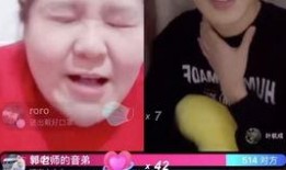 郭老师大龄爆料视频大全,揭秘娱乐圈不为人知的秘密