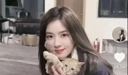 吃瓜电梯女网红,揭秘网络红人的幕后生活