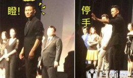 刘德华秘事爆料视频网站,揭秘巨星背后的不为人知故事