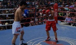 吃瓜娱乐拳击比赛视频大全,精彩拳击比赛视频大盘点