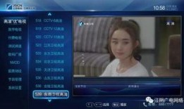 东南视直播在线观看,实时精彩，一键尽享