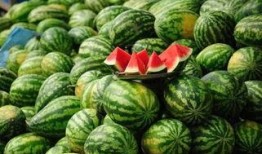 晋城网红吃瓜事件真相,揭秘背后真相与网络舆论风暴